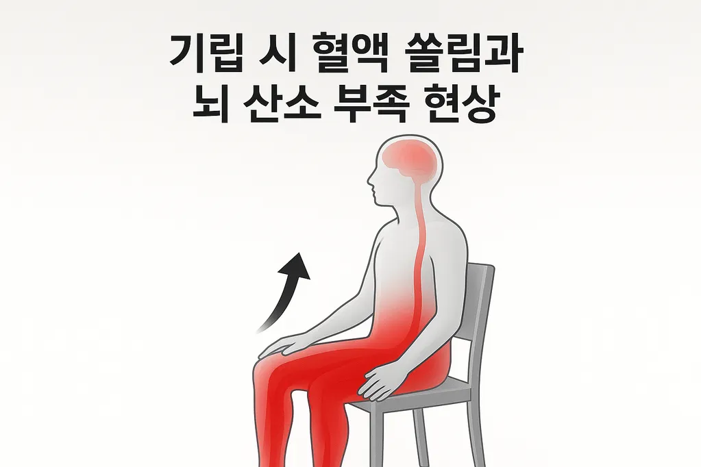 기립 시 혈액 쏠림과 뇌 산소 부족 현상